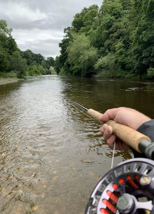 Waders: A Comprehensive Guide to the Best Affordable and Breathable Waist Waders vs Chest Waders