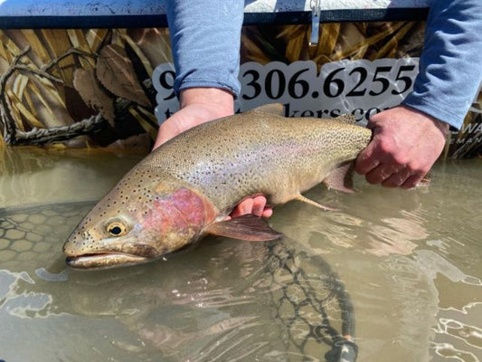 Fishing Waist Bag: A Guide to the Best Brands and Budget Options for Bass and Wading Fishing