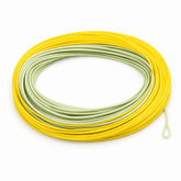 Raprance Salmon/Steelhead Fly Line