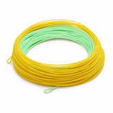 Raprance Grand Weight Forward Floating Line