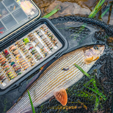 Fly Fishing Flies: Essential Patterns for Every Angler's Tackle Box