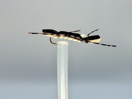 Chernobyl Ant