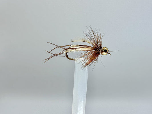Daddy Long Legs