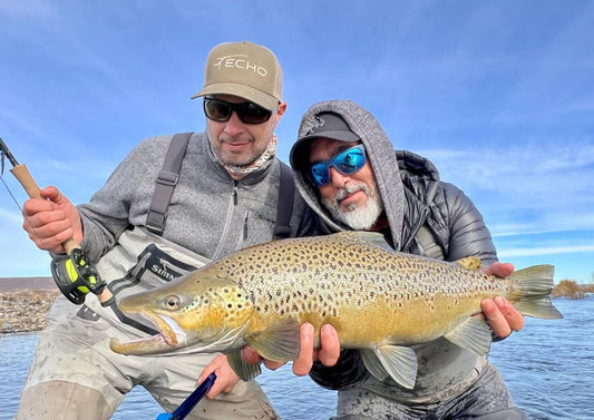 Georgia Wild Trout