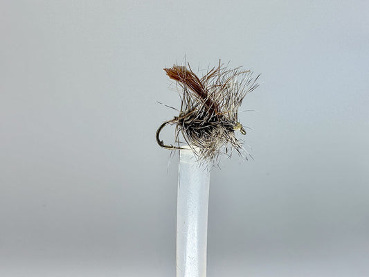 Griffith's Gnat