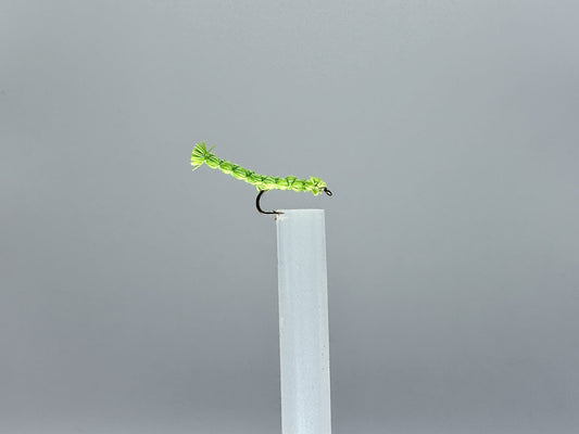Inch Worm