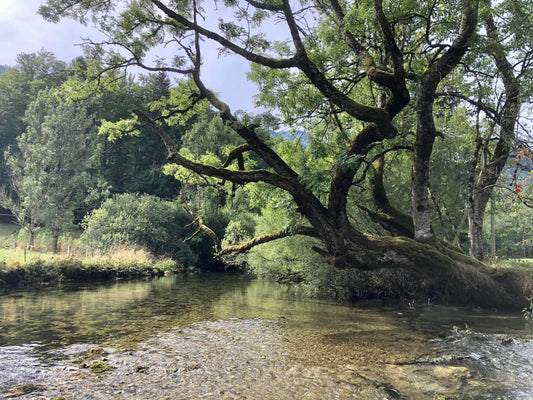 Jura Aventure Pêche
