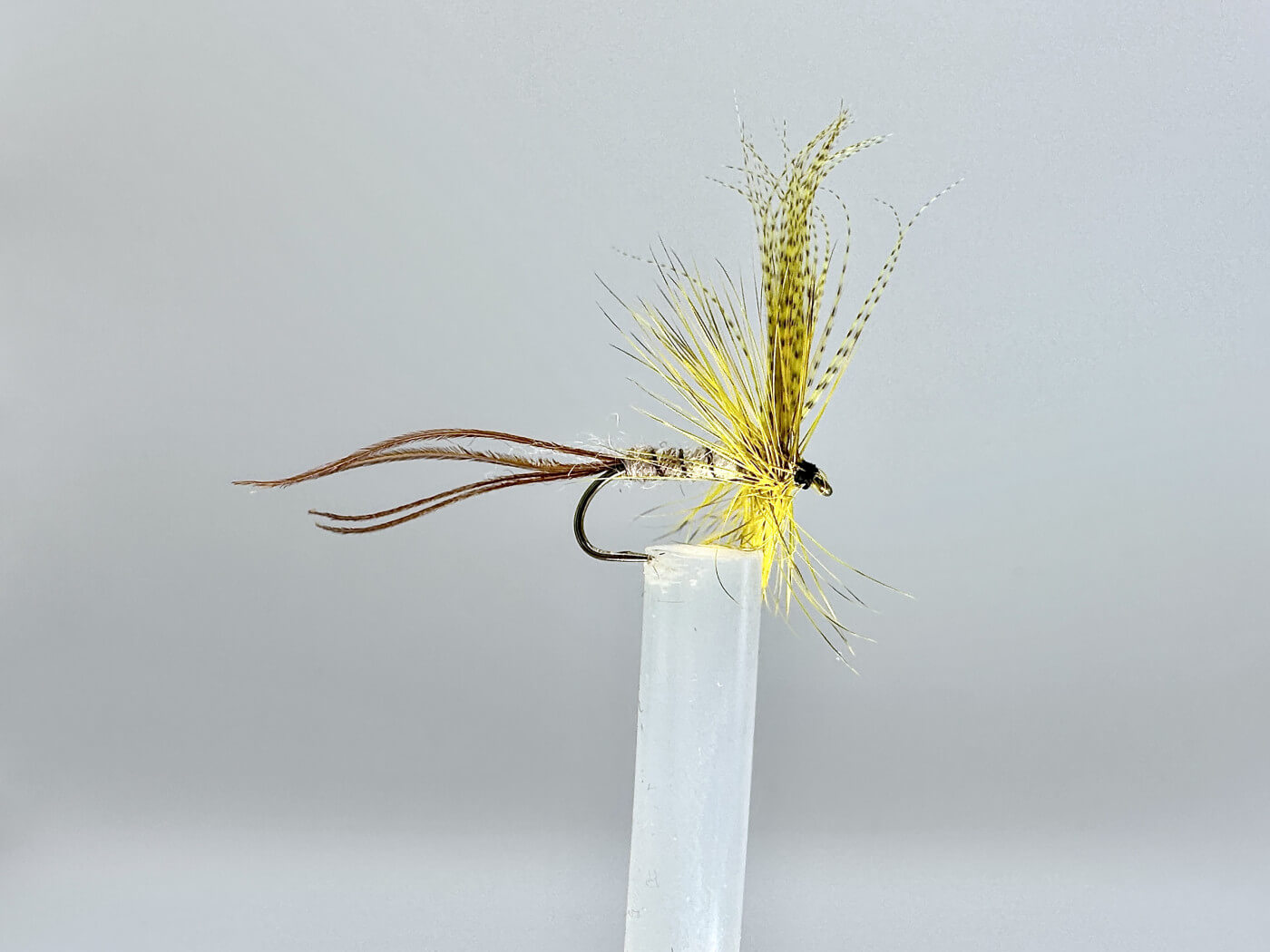 May Fly – Raprance