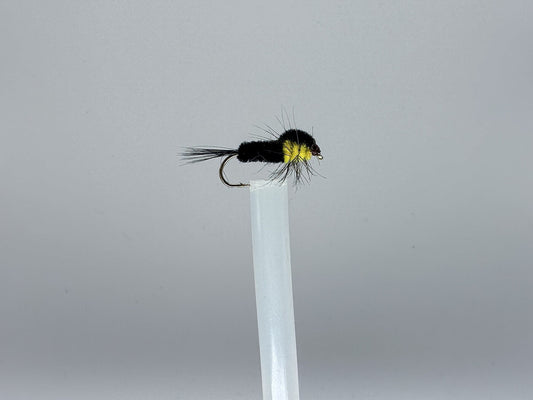 Montana Nymph