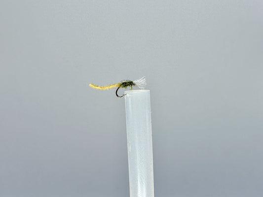 Palomino Midge