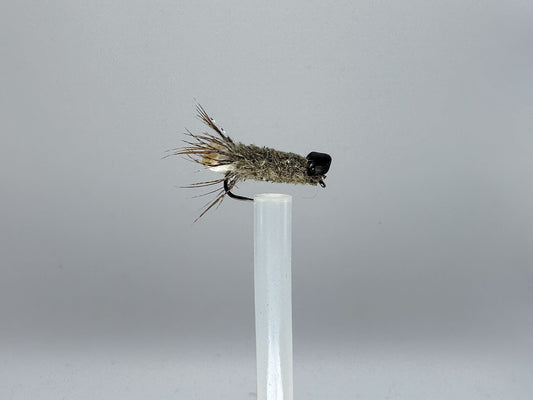 Peeping Caddis
