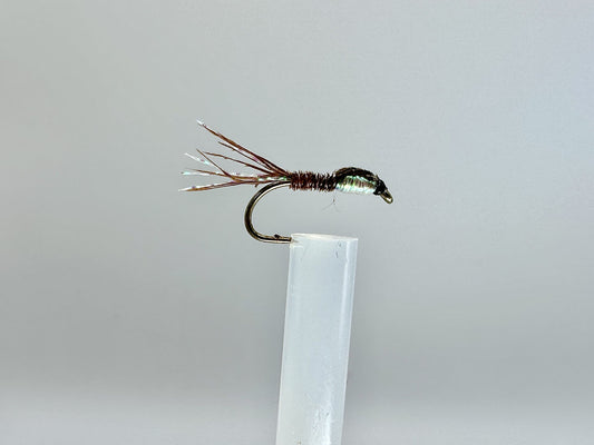 Pheasant Tail Nymph