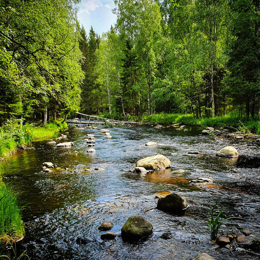 Pilve Fly Fishing