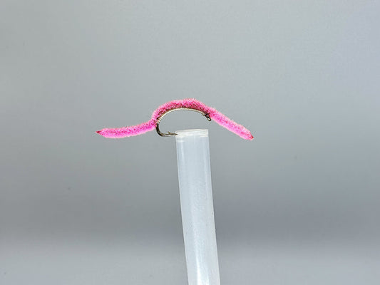 San Juan Worm