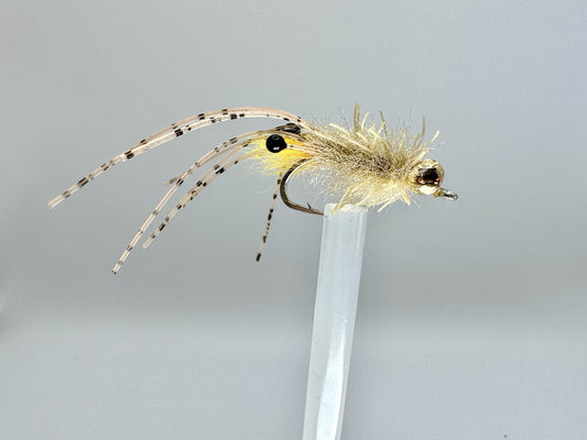 Shrimp Pattern