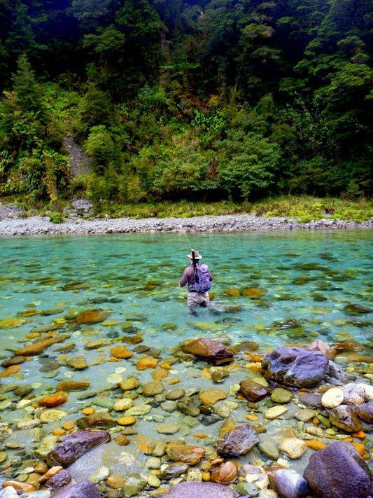 Aspiring Fly Fishing