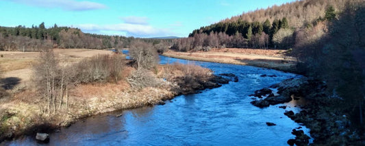 Blue Zulu Fly Fishing