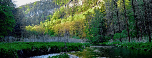 Markus Kunter Fly Fishing School