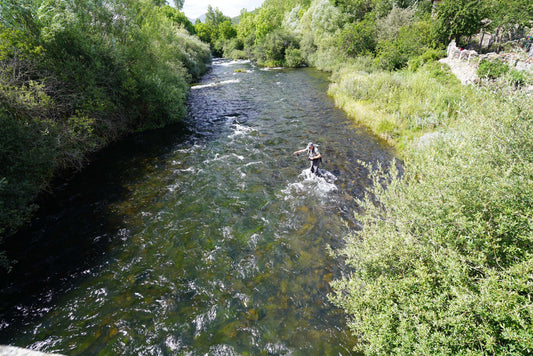 Guias de Pesca