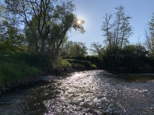 Guide de Pêche en Belgique