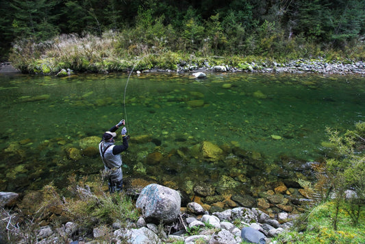 River Fishing New Zealand