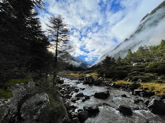 Les Sens de la Rivière