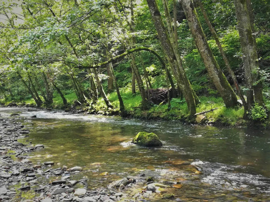 Made in River - Glenn Delporte