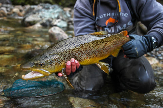 Fishing Waist Bag: Exploring Options from Chest Packs to Ultralight Designs