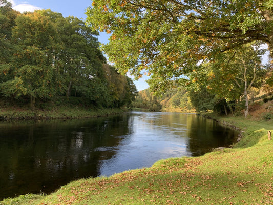France 🇫🇷 La Loue River