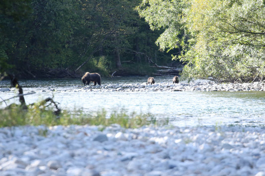 STS Fly Fishing
