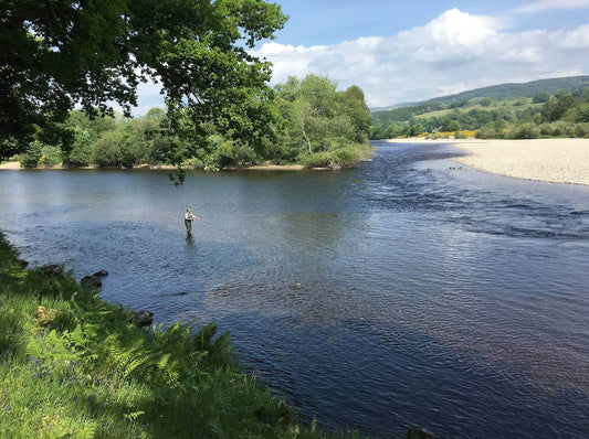 United Kingdom 🇬🇧 Salmon on the River Tay