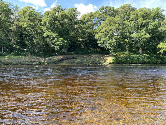 Norway 🇳🇴 The salmon rivers of Southern Norway