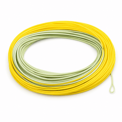 Raprance Salmon/Steelhead Fly Line