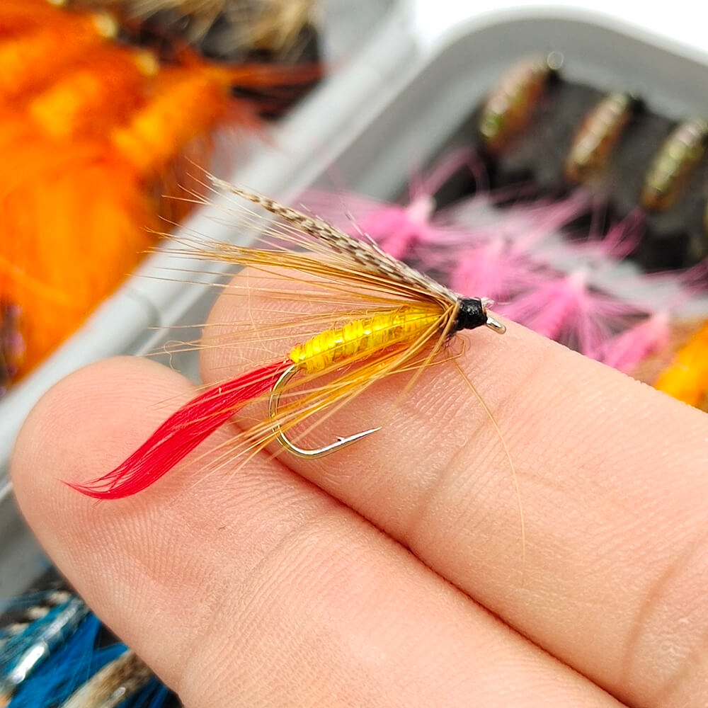 Raprance 64pcs Flies Trout Steelhead Salmon Fishing Flies Barbed Barbless Fly Hooks Include Dry Wet Flies Nymphs Streamers Eggs, Fly Lure Kit with Fly Box